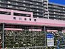 周辺：横川保育園迄660ｍ