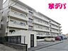 外観：大切なペットと一緒に暮らせるマンションです。 