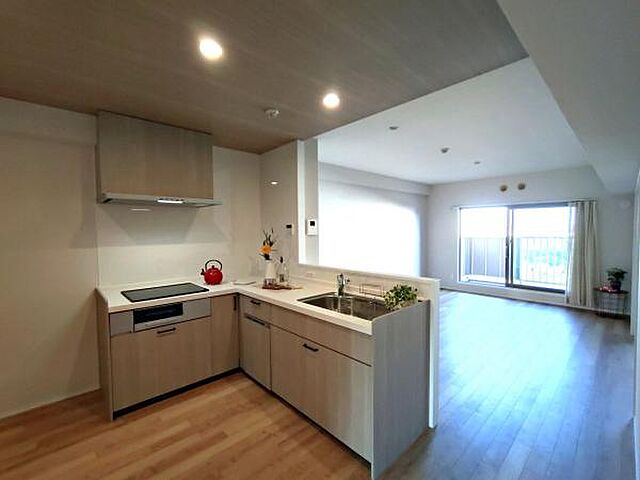 キッチン 清新南ハイツ　12号棟 8階/-