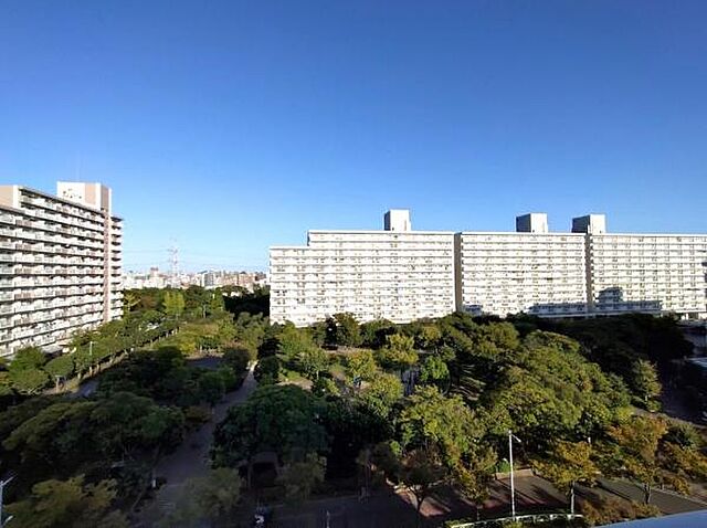 その他 清新南ハイツ　12号棟 8階/-