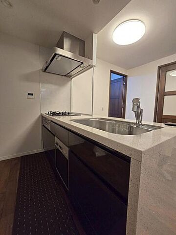 キッチン ロイヤルシーズン新宿柏木 1階/-