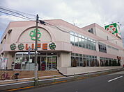 ライフ 赤塚店（391m）