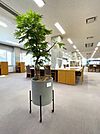 富山国際大学図書館 736m