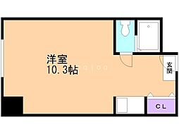 南4条ユニハウス 10階/-