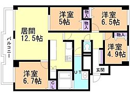 シーアイマンション円山西棟 13階/-