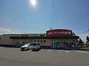 ドラッグストア 「クスリのアオキ連取店まで1294m」