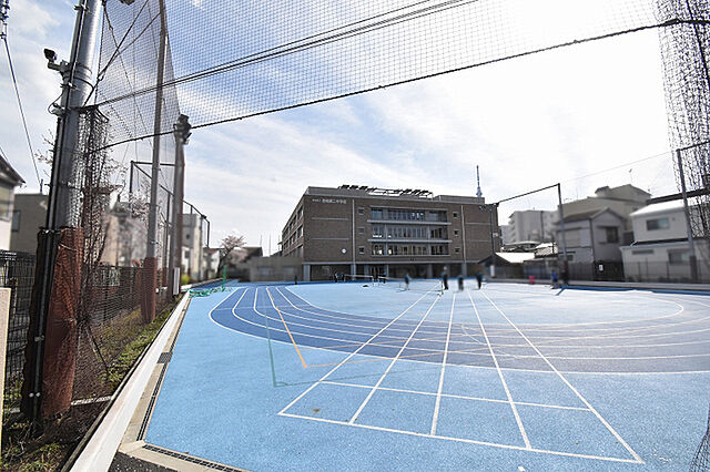 周辺 ガリシア八広駅前 7階/-