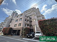 東京都江東区牡丹3丁目：物件画像
