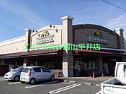 山陽マルナカ浦安店 1538m