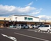ハピーズ円山店 495m