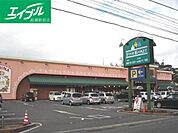 ニシナフードバスケット羽島店 525m