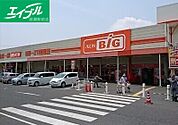 ザ・ビッグ岡山一宮店 1207m