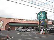 ニシナフードバスケット羽島店 815m