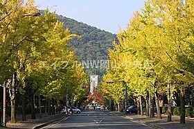 下石井清水ビル  ｜ 岡山県岡山市北区下石井2丁目（賃貸マンション1R・2階・23.94㎡） その27