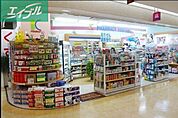 パワードラッグワンズ岡山表町店 550m