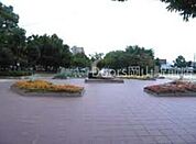 大元中央公園 534m