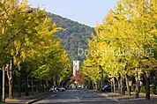 岡山大学 津島キャンパス 1293m