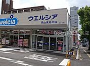 ウエルシア岡山東島田店 670m
