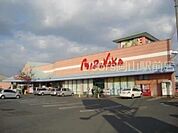 山陽マルナカ東岡山店 574m
