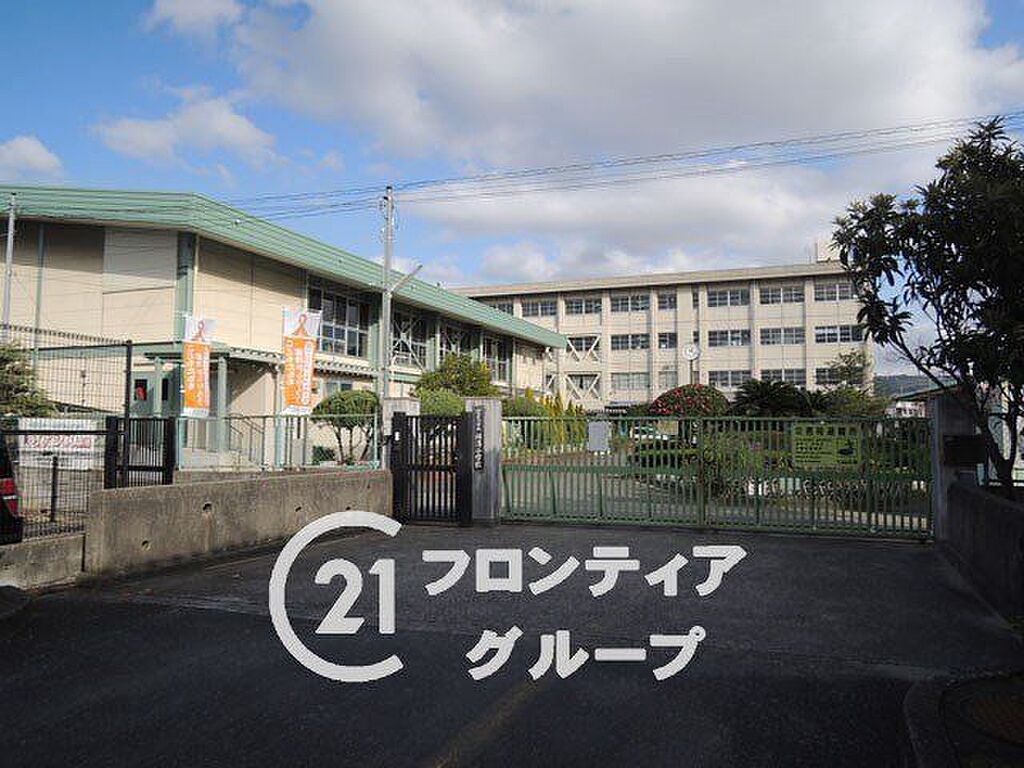 Image 7
