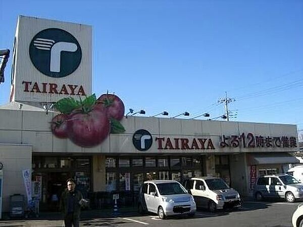 TAIRAYA野木店 942m