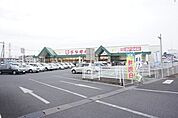 とりせん羽川店 560m