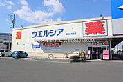 ウエルシア湖西新所原店 1321m