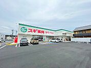 スギドラック豊橋三本木店 619m