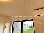同型完成モデル