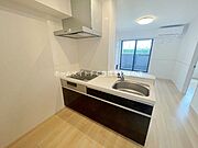 同型完成モデル