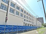 歌島中学校 471m