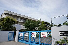 NONAMI RISE  ｜ 愛知県名古屋市天白区古川町17（賃貸マンション1K・11階・29.38㎡） その30