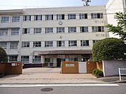 名古屋市立若宮商業高校 496m