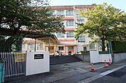 南天白中学校 740m