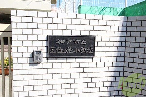 画像29:神戸市立五位の池小学校 179m