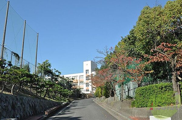 画像23:神戸市立横尾中学校 773m