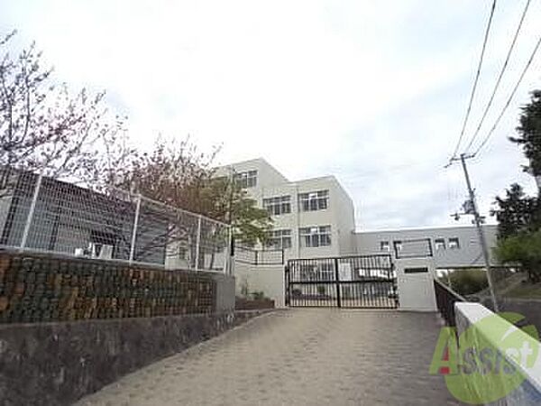 画像29:神戸市立白川小学校 109m