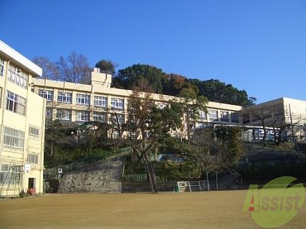 画像15:神戸市立妙法寺小学校 219m