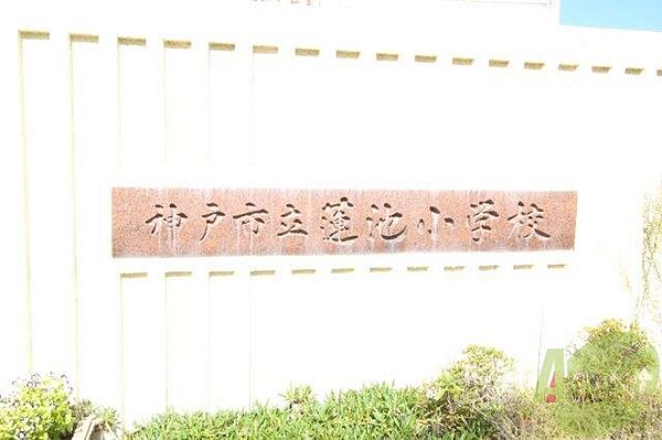 画像10:神戸市立蓮池小学校 321m