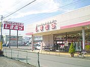 ファッションセンターしまむら長瀬店 1290m