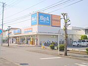 ビッグ・エー鶴ヶ島脚折町店 304m