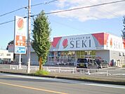 ドラッグストアセキ脚折町店 619m