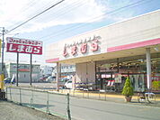 ファッションセンターしまむら長瀬店 653m