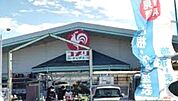 コメリハード＆グリーン神栖店 7589m
