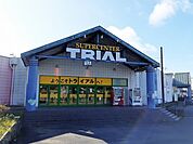 トライアル 1300m