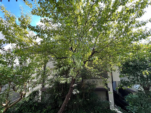  京王井の頭線 高井戸駅 徒歩10分