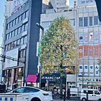 東京都新宿区四谷1丁目：物件画像／株式会社アドマイアー