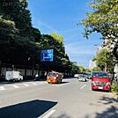 靖国通り