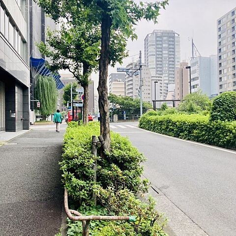 周辺