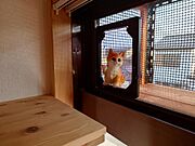 ネコ専用のバルコニーです